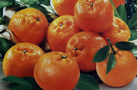 柑橘的营养价值有哪些？吃柑橘可预防中风