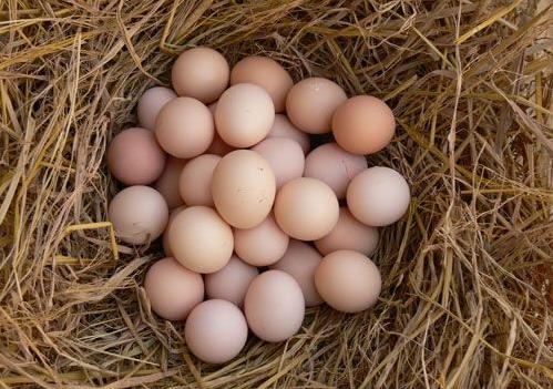 散裝雞蛋保質期多長時間？長時間存放雞蛋營養易打折