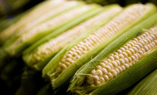 玉米含有甜蜜素 多食玉米有害嗎？