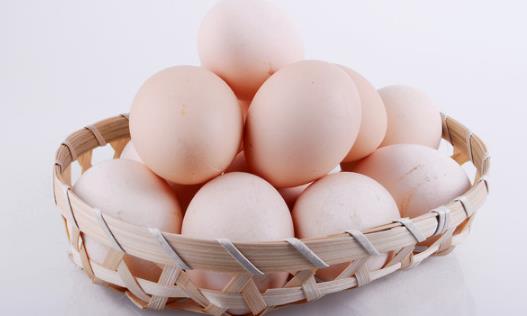 洋雞蛋營養也高 雞蛋並非「越土越好」？