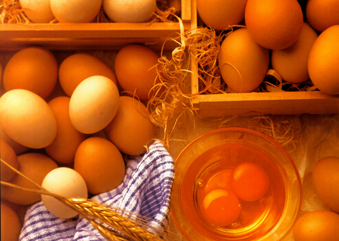 雞蛋吃太多會出現「蛋白質中毒綜合征」