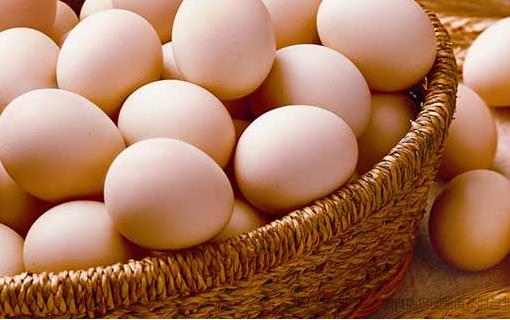 吃雞蛋能幫助提高老人記憶力嗎