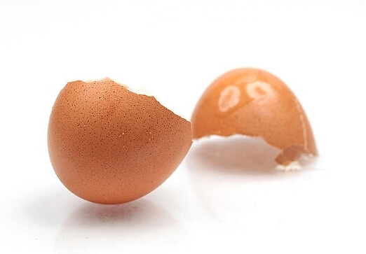 雞蛋殼的美容藥用功效-雞蛋殼的主要成分