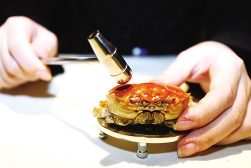 吃螃蟹的工具：用什麼工具能輕鬆吃大閘蟹又不浪費