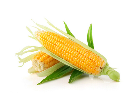 吃玉米可以軟化動脈血管-腦血管堵塞吃哪些蔬菜好？