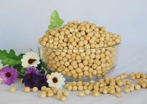 醋泡黃豆的功效-醋泡黃豆能減肥嗎？