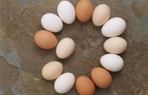 夏季養生吃對雞蛋能治病