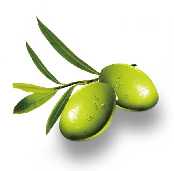 橄欖油的美容作用