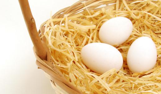 吃雞蛋到底能不能補鐵？