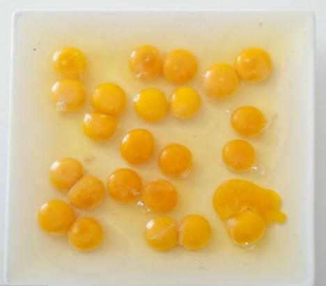 奇聞：國外女子買一打12個雞蛋竟全是雙黃蛋，概率百億分之一