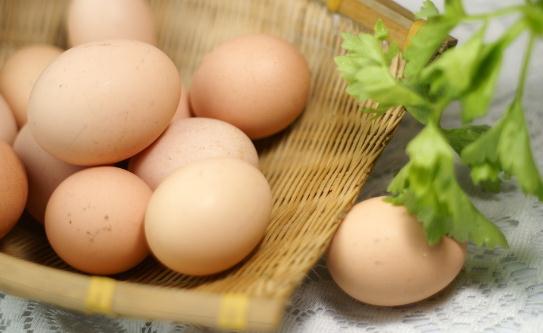 吃雞蛋營養-但孕婦不可盲目吃雞蛋