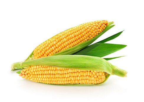 吃玉米有抗癌作用-玉米是男人必備的保健品