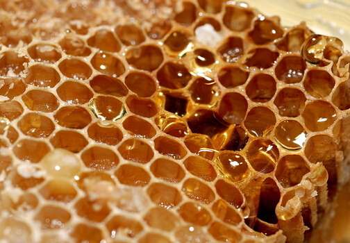 新研究顯示蜂蜜的止咳效果勝過止咳糖漿