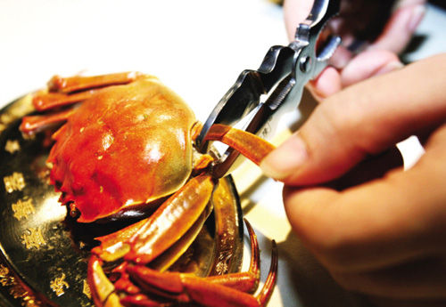 吃螃蟹的工具：用什麼工具能輕鬆吃大閘蟹又不浪費