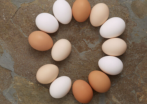 半熟的雞蛋最好不要吃-溏心蛋可以吃嗎？