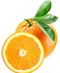 橙子小说在线阅读