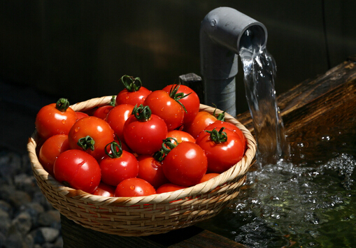 喝豆漿吃番茄增加飽足感-上班族懶人減肥法