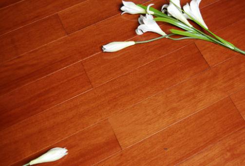 巧妙清潔木地板的方法