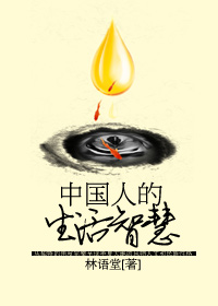 中国人的生活智慧小说在线阅读